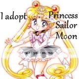 Sailor Moon Princesssailormoon