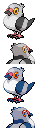 No. 000's Field Work:  Unova's Inhabitants Pidove