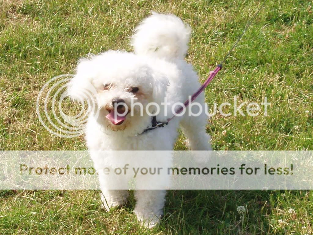 skyla as a baby  and at the park 2009284