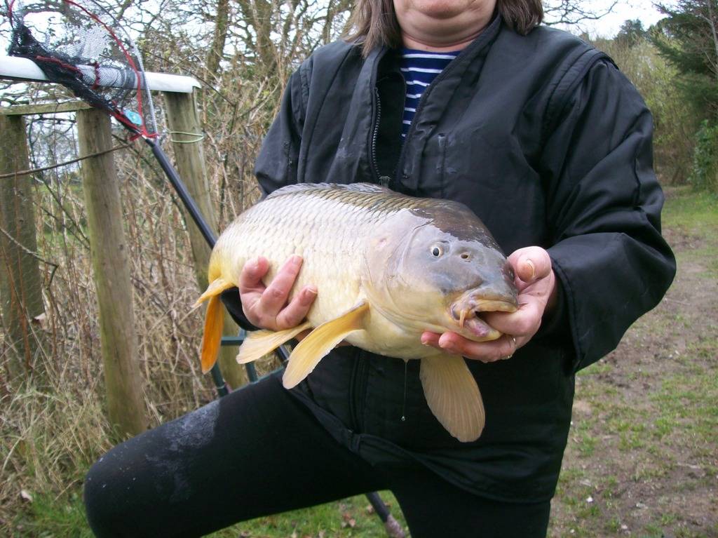 Stunning fish PB   My%20carp%20010_zpsika50gfu