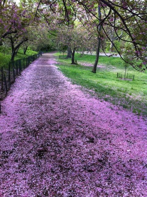 SPRING CAN REALLY HANG YOU UP THE MOST... 403290_224055377681514_100002311596243_512705_1192526040_n