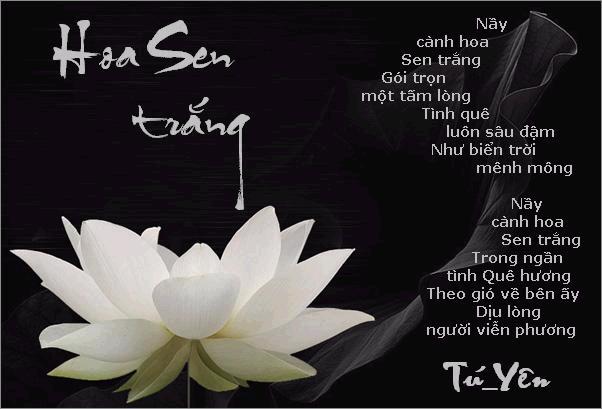 Tranh và Thơ Hoasentrang_zps84198288