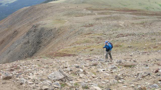 Hiking with Dogs: Mt. Elbert, tallest peak in Colorado  IMG_0801_zps541f5dde