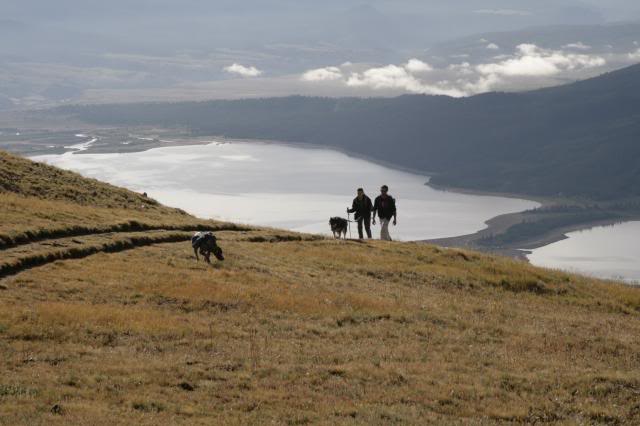 Hiking with Dogs: Mt. Elbert, tallest peak in Colorado  _MG_7687_zps712794dd