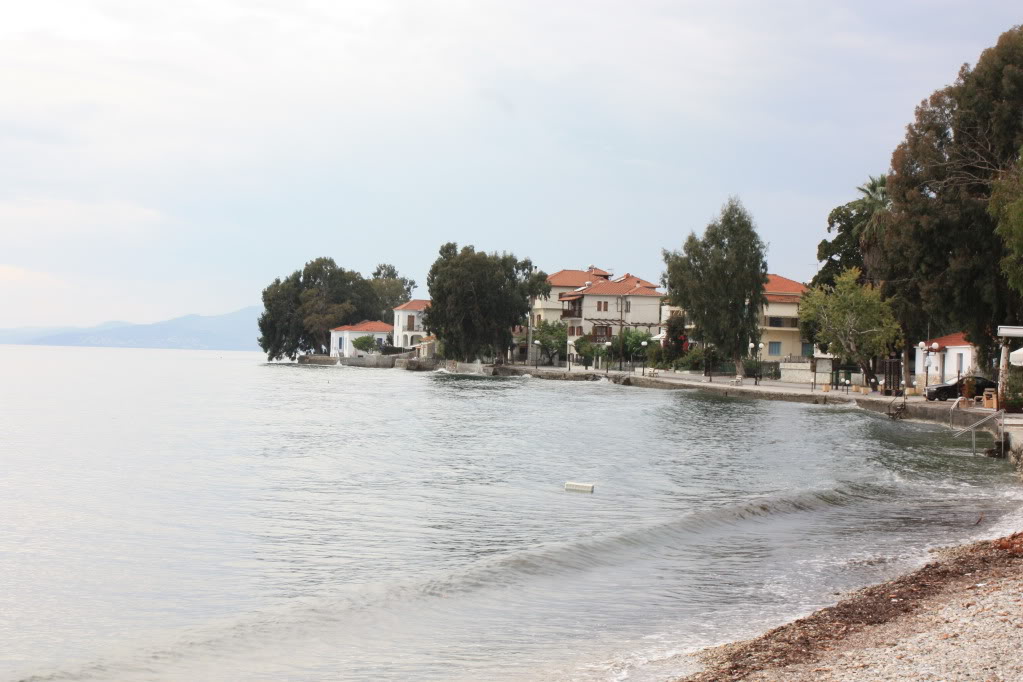 3η Φθινοπωρινή Πανελλήνια VFRh - Πινακάτες Πηλίου (Στόρι & Φωτοστόρι) | 26-28.10.2012 - Page 2 IMG_2288