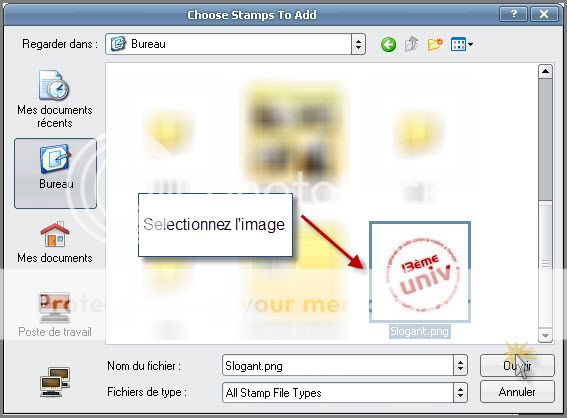 Traitement de photos avec Snagit 10  4