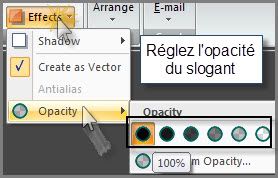 Traitement de photos avec Snagit 10  6