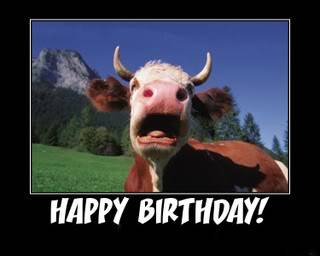 Moooo BirthdayCow