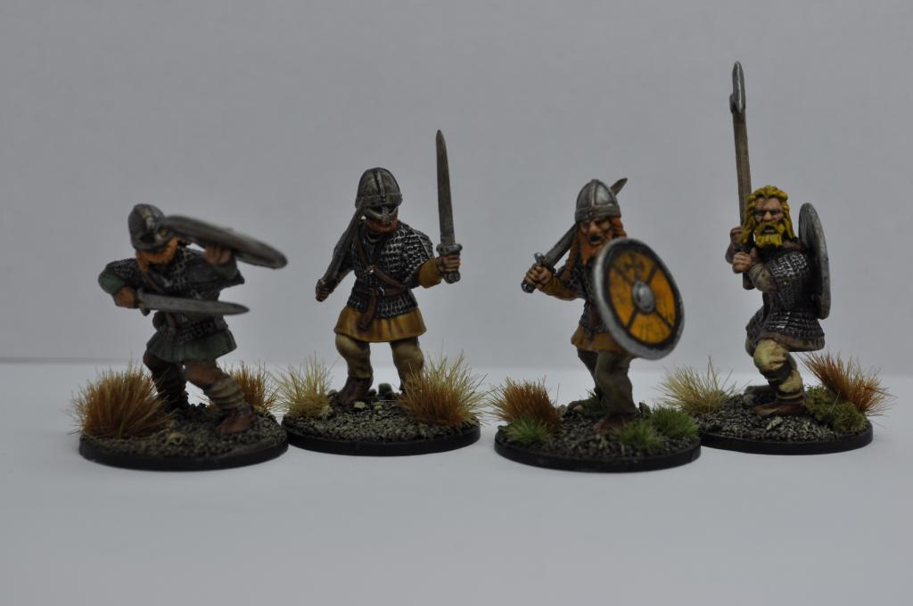 Saga Warbands - Viking Warband of Asger Sturluson DSC_0617_zps10b37a73