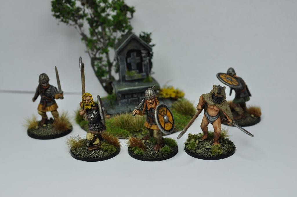 Saga Warbands - Viking Warband of Asger Sturluson DSC_0642_zps18b7c541