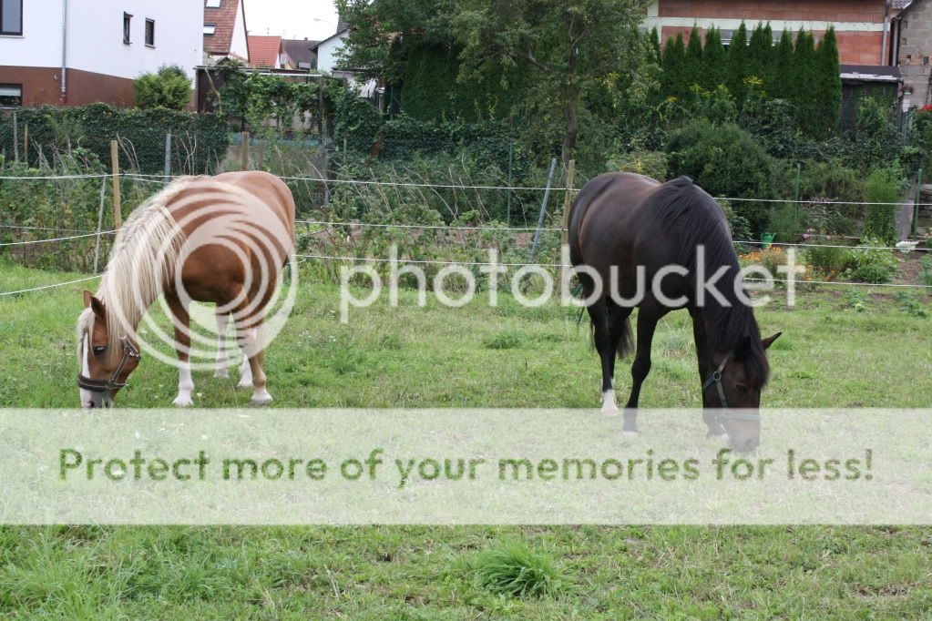 Silvana und Felix IMG_4811