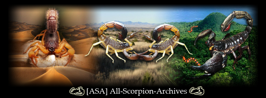 All Scorpion Archives