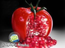 خطورة زواج الاقارب بالصور ,,, 7989_1159884032