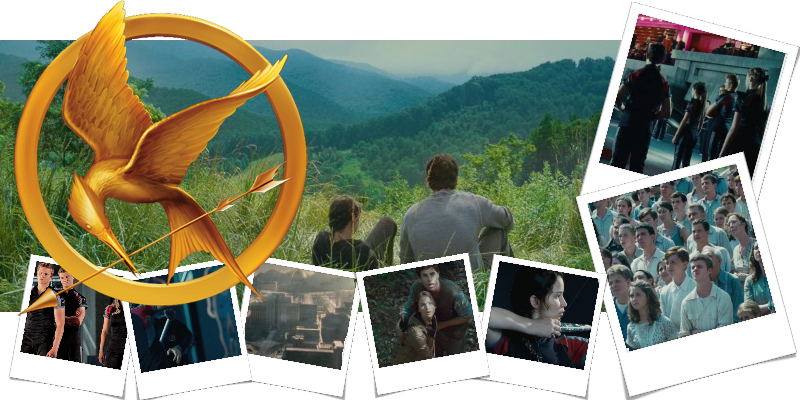 Hunger Games RPG _ WHO AM I LIVING FOR? Bannerws-1
