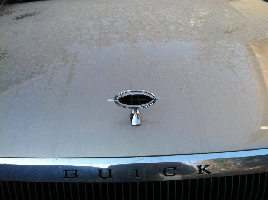 My new hood ornament  6A78559D-3D90-4DB7-B7C2-96669C87BB97