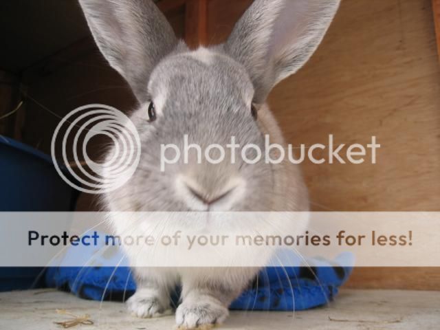 What everybun did this weekend (pic heavy). Cindy02_640x480