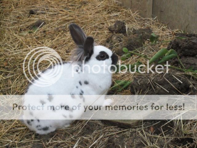 What everybun did this weekend (pic heavy). Graham02_640x480