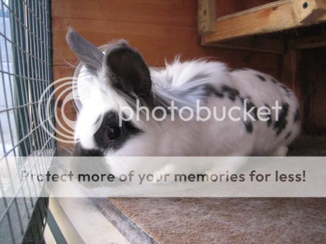 What everybun did this weekend (pic heavy). Ronnie01_640x480