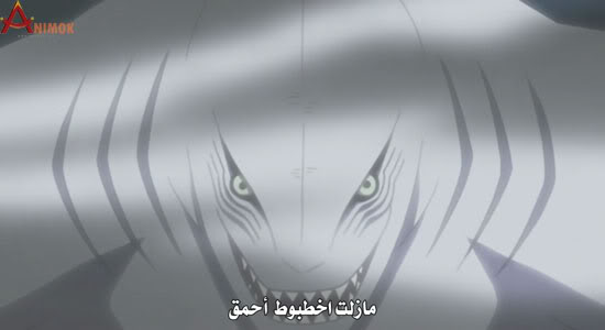 ناروتو شيبودن 207 | Naruto Shippuuden 207 |مترجمة 3-2