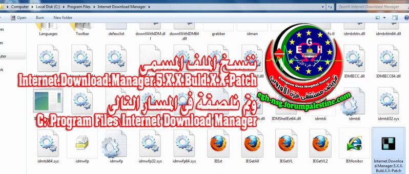 برنامج | Internet Download Manager 6.07 Build 15 + Patch | شرح كامل 11copy