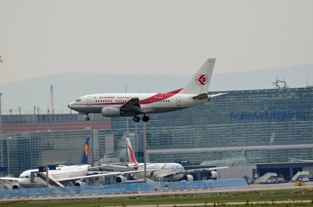 La Flotte d'Air Algerie [Photos & Vidéos] AH-3