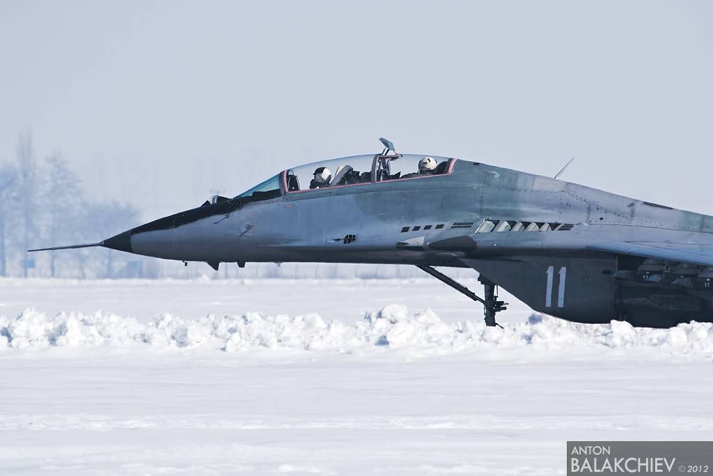 Armée Bulgare Bulgaria--AF1