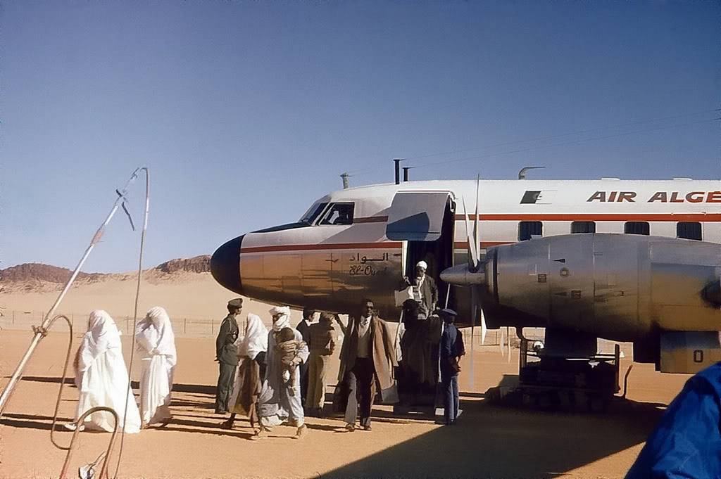 La Flotte d'Air Algerie [Photos & Vidéos] DZ-AirAlgerie-Convair440