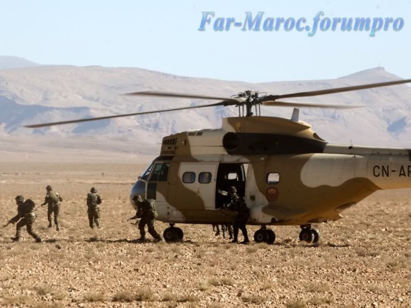 Armee Marocaine  - Page 3 Maroc-army2-1