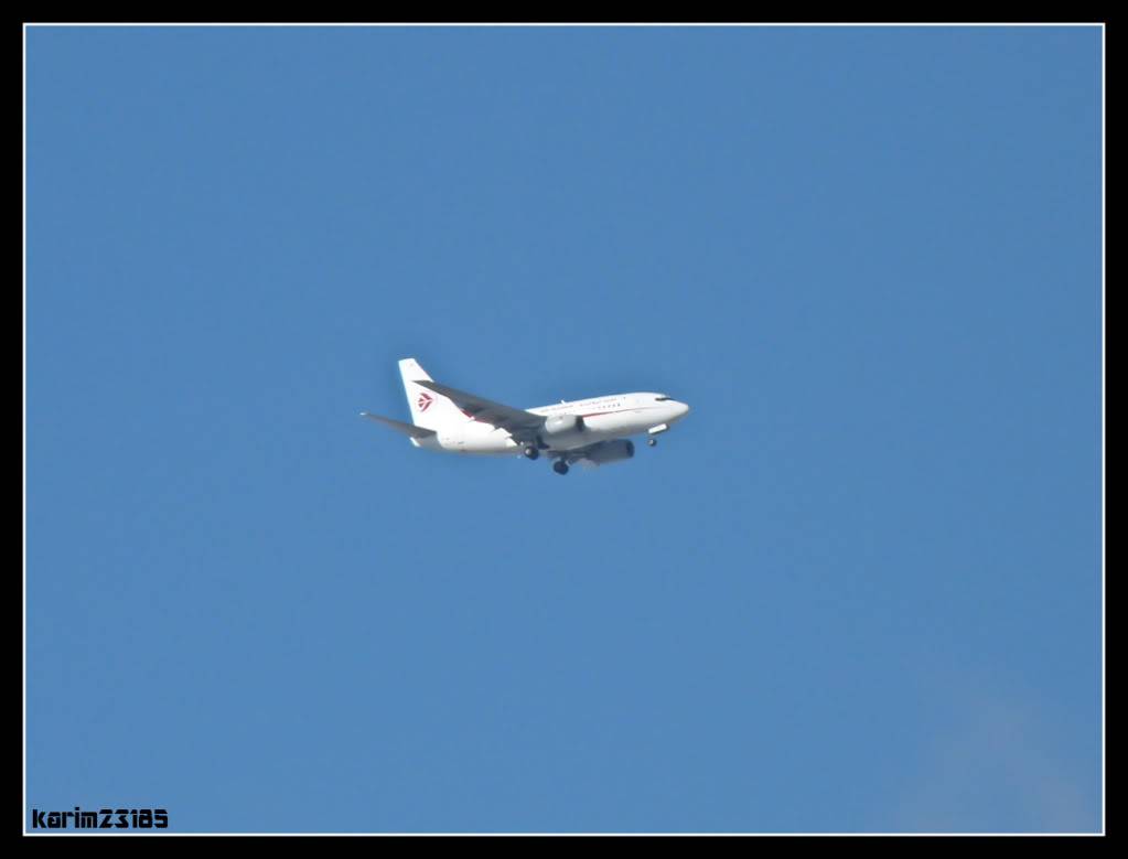 La Flotte d'Air Algerie [Photos & Vidéos] P1050821