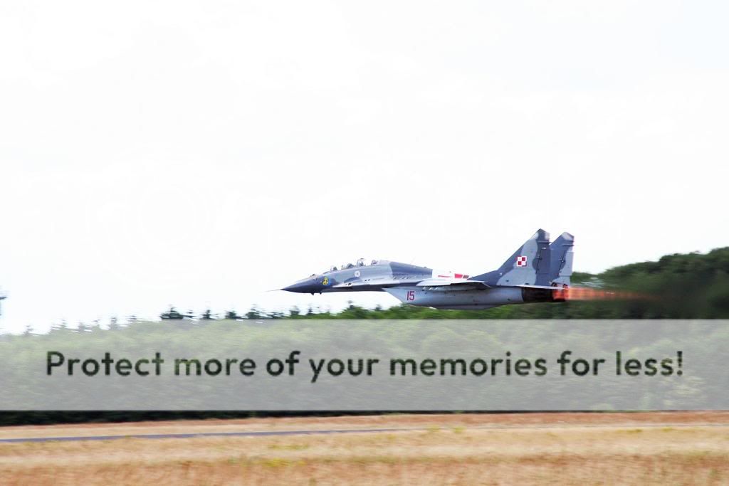 Armée Polonaise Polish-Mig291