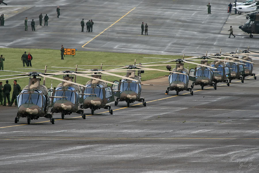 Armée Sud-Africaine South-AfricaAF8