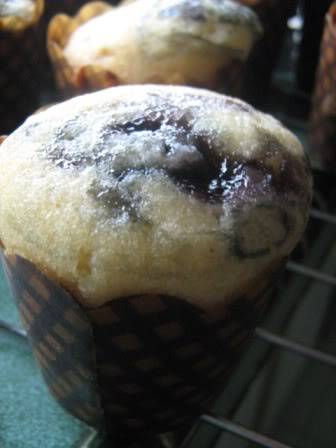 MUFFIN @@@@@@@@ macam macam ada Festa237