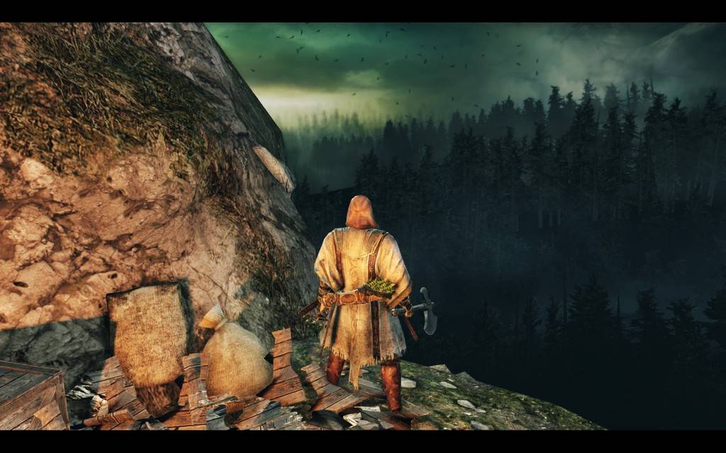 Scholar of the First Sin Screenshots Dark%20Forest_zpst97mneib