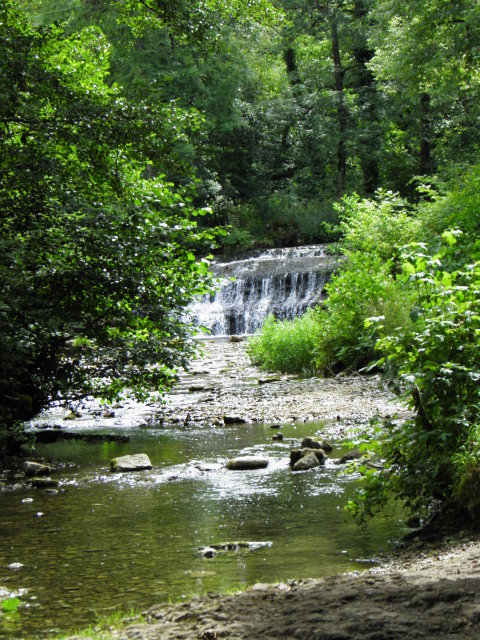 Cascades du Hérisson (Jura) 20120731_235-1