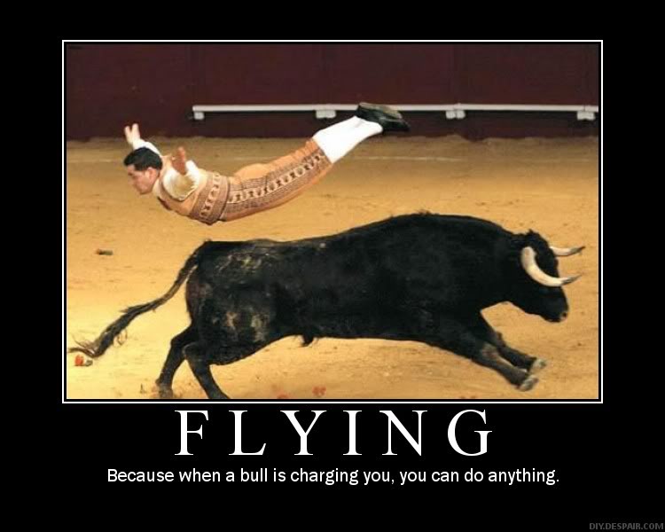 MOTIVATIONAL POSTERS! - Page 6 Flying