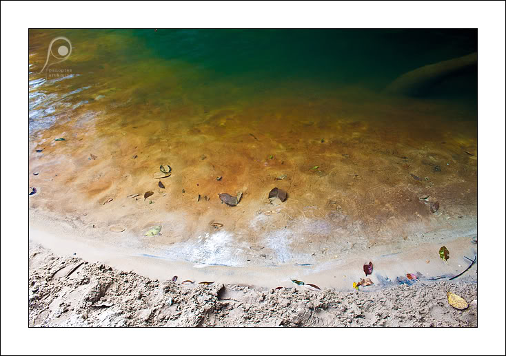 Couleurs et textures de la nature IMG_2087