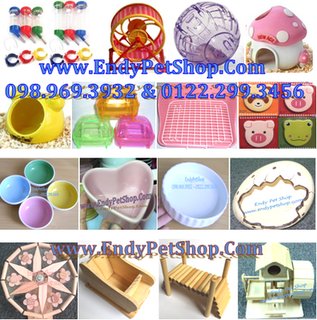Endy Pet Shop - Giá sỉ & giá lẻ Hamster, Nhím Kiểng, Vật Dụng, Thức Ăn và Lót Chuồng THdodung