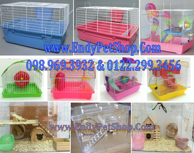 Endy Pet Shop - Giá sỉ & giá lẻ Hamster, Nhím Kiểng, Vật Dụng, Thức Ăn và Lót Chuồng THlong