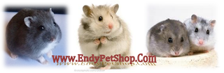 [EndyPetShop] HOTSALE T12 : Giảm Giá Bọ ú Lông Xoắn , Hamster , Lót Chuồng HotsaleT1201