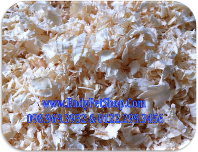 T09 : MÙN CƯA GIÁ RẺ 25k/ 2 BAO 500G, HAMSTER GIÁ HỌC SINH Muncua2408