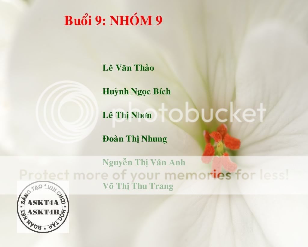 Thông Báo Nhóm Thuyết Trình Môn KT chính trị 1 White_flower_macro