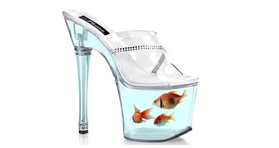 صور تحشيش 2011 Goldfish-shoe