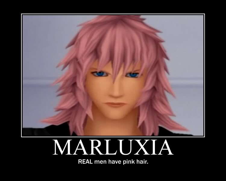 The Funny Picture, Video and Story Thread. - Page 6 Marluxia_Motivational_Poster_by_NinjaOfTheMachete