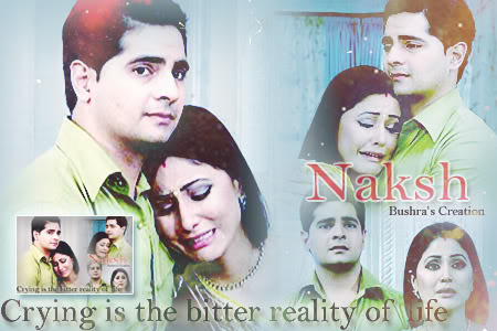 creations gallery - Page 2 Naksh2