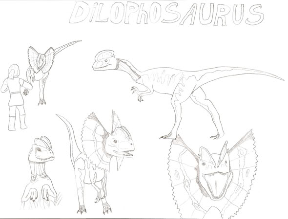 Dibujos de Spino-Albertosaurus Dilopho