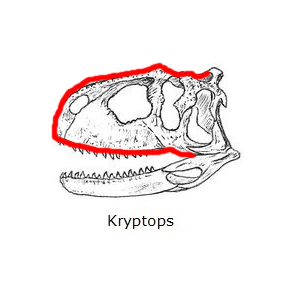 Spoiler: Apariencia del I-Rex - Página 3 Kryptos_zps4b22a5d4