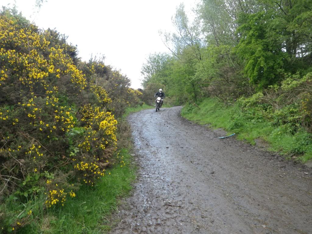 Trying to save the trails in The Peak District . IMGP1258_zps9e0b35e7