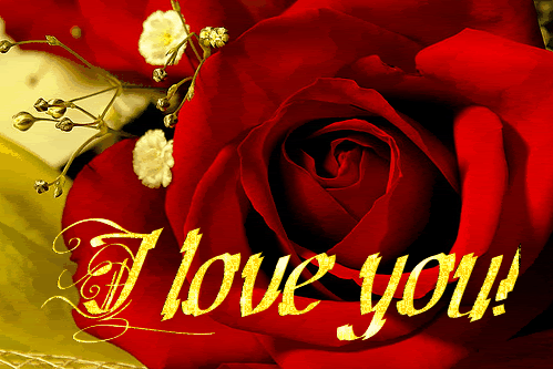  photo i-love-you-red-rose-beautiful-graphic_zpsz8oshkqo.gif