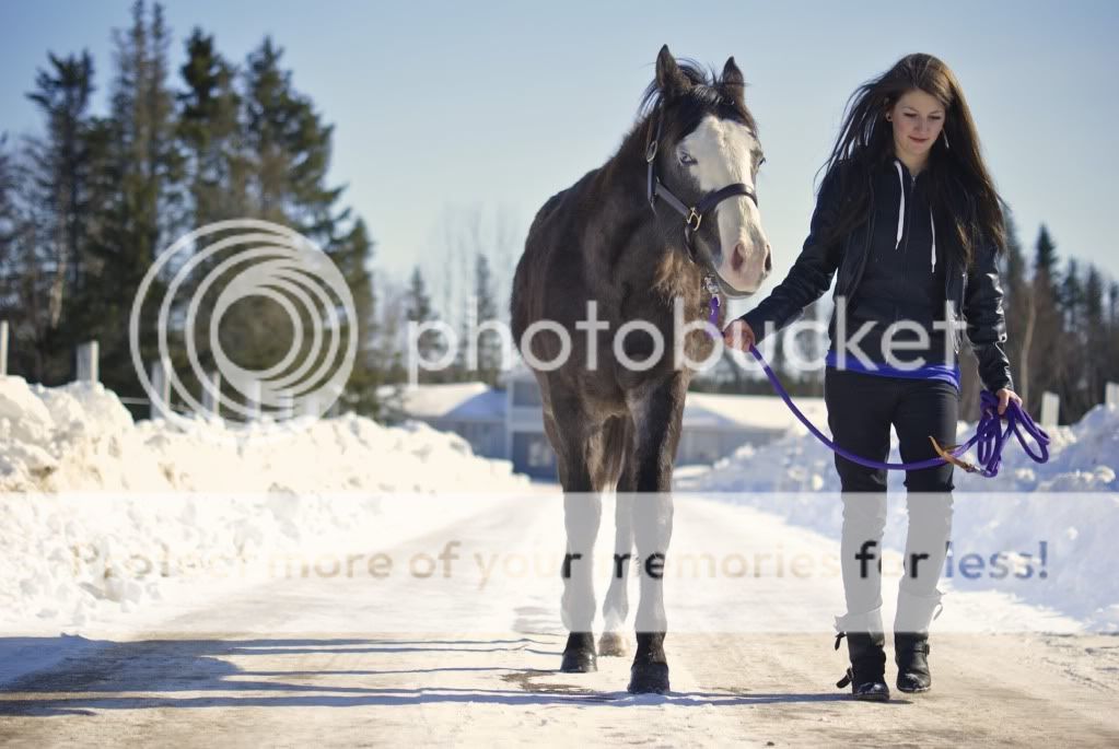 My horses and I from the winter. DSC00938