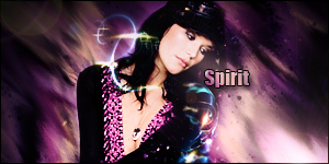 Signature Gallery Spirit-1